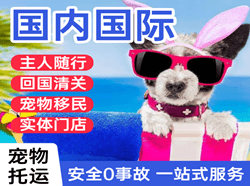 于田万方航空快运国际宠物托运 【国